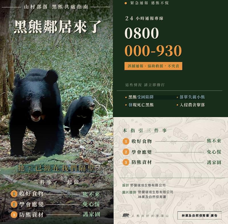 黑熊與人的距離比想像的更近,人們必須以更成熟的方式與野生動物共處。