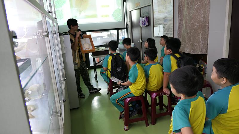 學童們透過骨骼標本了解龜類特殊的身體結構