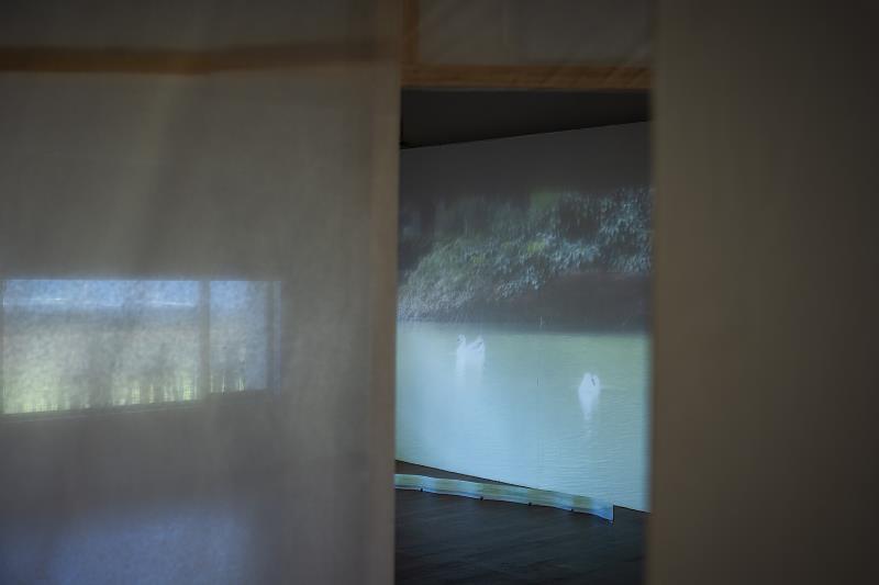 劉婉妤《悖影：shadow loop》展場一景。（圖 智邦藝術基金會提供）