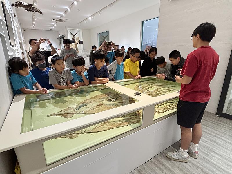 國小學員參觀興大自然史博物館