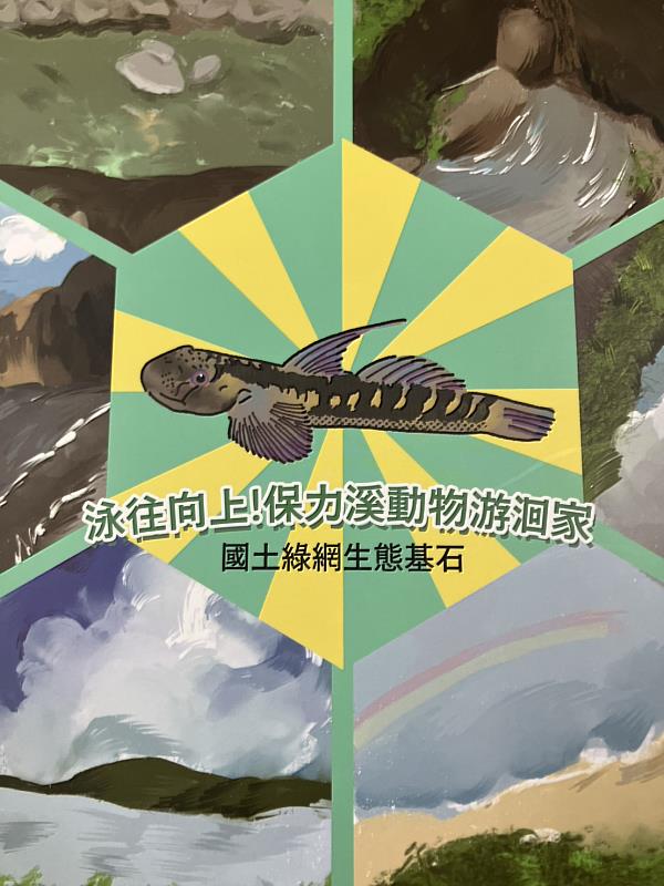「泳往向上－保力溪動物游洄家」，是以「日本瓢鰭蝦虎」的視角，介紹洄游性魚類的洄家之路。