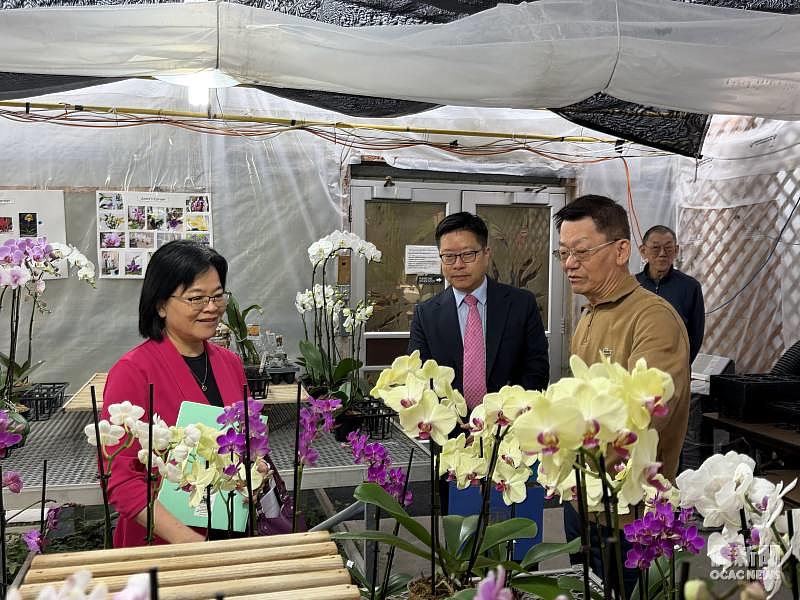 賴麗瑩（左1）參觀蘭花培育場，瞭解多各式蘭花品種及其栽培特色。
