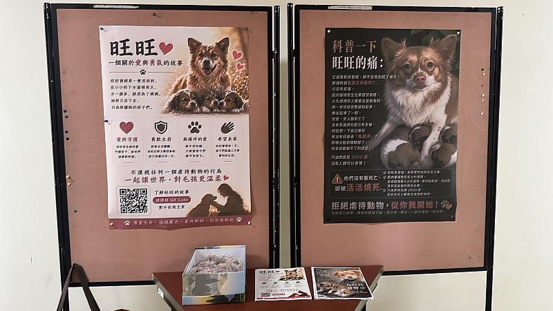 林菡儀老師在校園內設置旺旺生命教育展示,透過圖文與影像呼籲拒絕虐待動物。