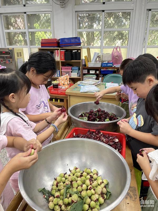 桃園市瑞原國小:戀念臺灣體驗學生參與體驗洛神花蜜餞製作。