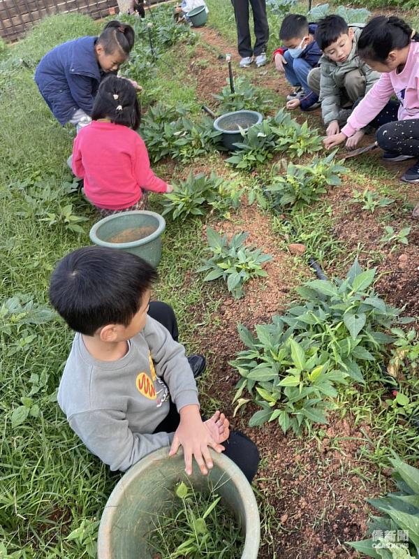 桃園市瑞原國小:戀念臺灣體驗學生走入豐富的自然生態環境校園進行食農教育與校園探索。