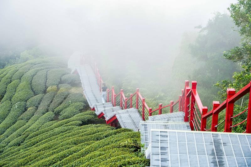 嘜走步道