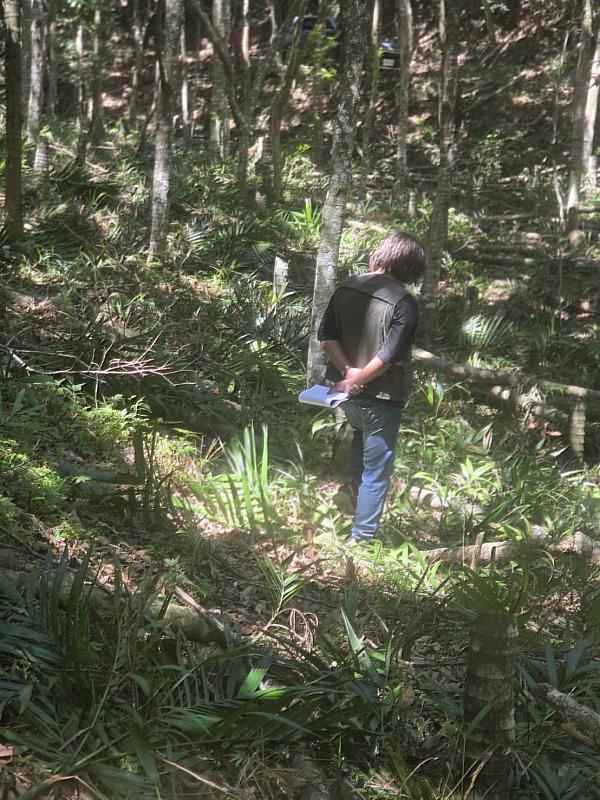 臺東縣禁伐補償金中秋節前完成發放 中央地方攜手守護族人權益