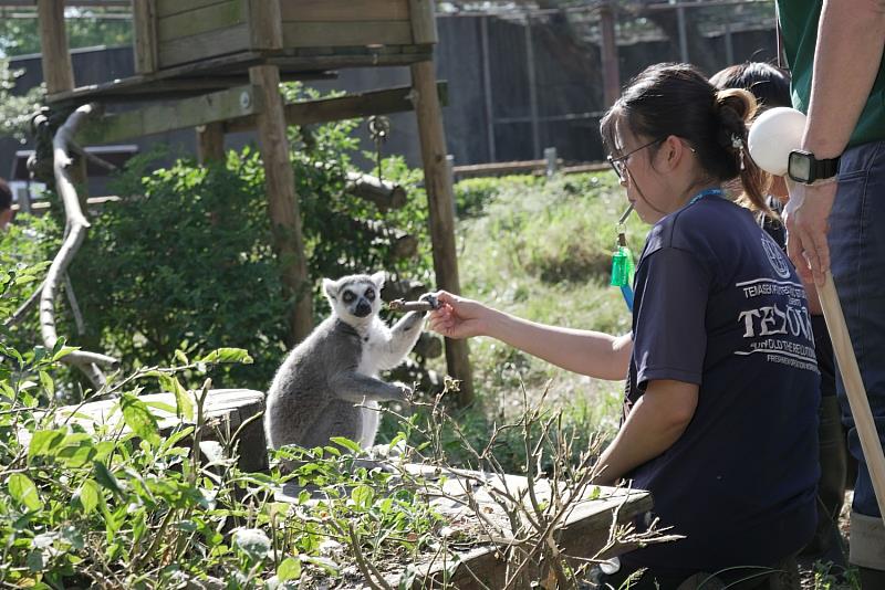 學員運用哨子搭配餵食引導狐猴實地操作演練。(圖/六福旅遊集團提供)