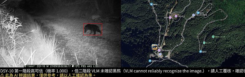 大雪山國家森林遊樂區建置AI防熊預警系統,近日於49K小雪山資訊站旁西勢山林道入口拍攝到臺灣黑熊活動影像。