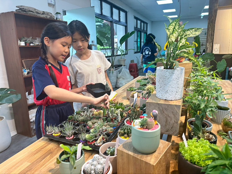 河畔綠藝所提供多款小型多肉植物,造型精巧可愛,提供民眾挑選。(圖/中信科大提供)