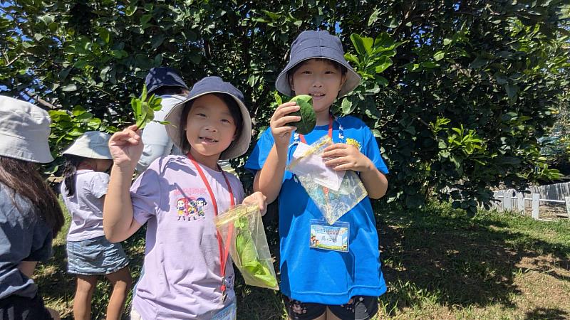 小朋友在大川果園參與食農教育。
