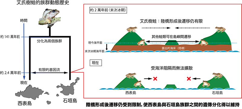 文化大學生命科學系陳怡惠教授與巫奇勳副教授表示，此次透過全基因組範圍的遺傳分析研究，讓研究團隊能從更完整的基因組資料，重新理解不同島嶼族群之間的演化關係。