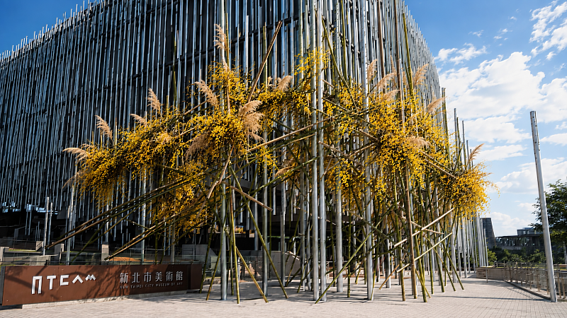 廖浩哲〈生長中 Growing〉,2026。(新北市美術館提供)