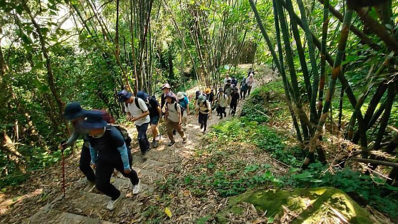 樟之細路步道。