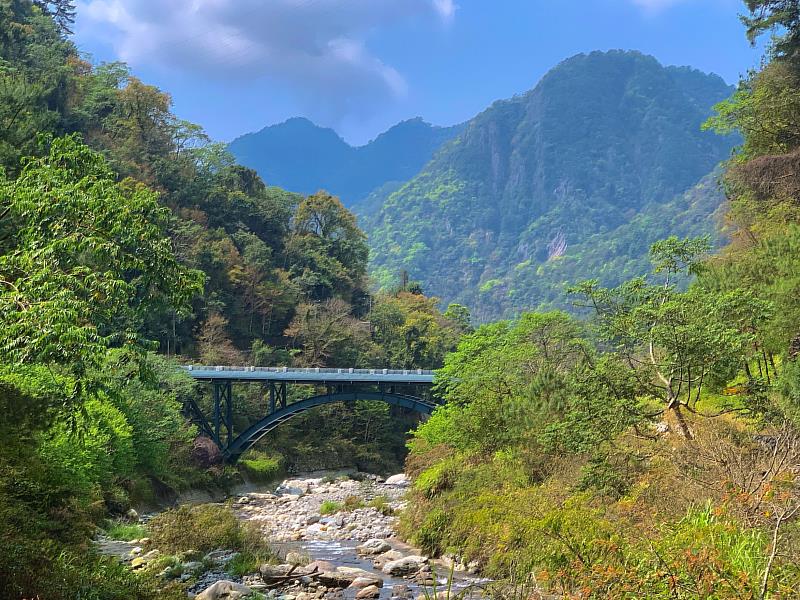 秋日的八仙山,山林染上層次豐富的金黃與翠綠。