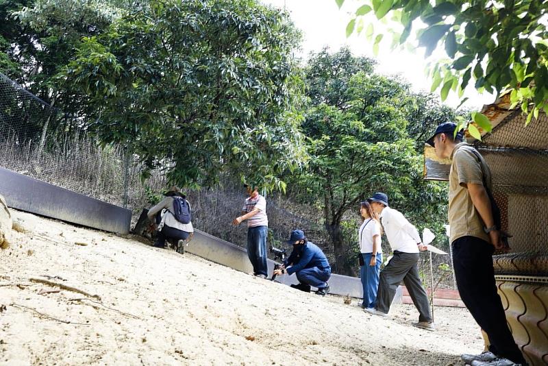 韓國蔚山MBC紀錄片團隊前往石虎滋擾通報實地記錄,呈現生態給付效益及友善防護措施陪伴。