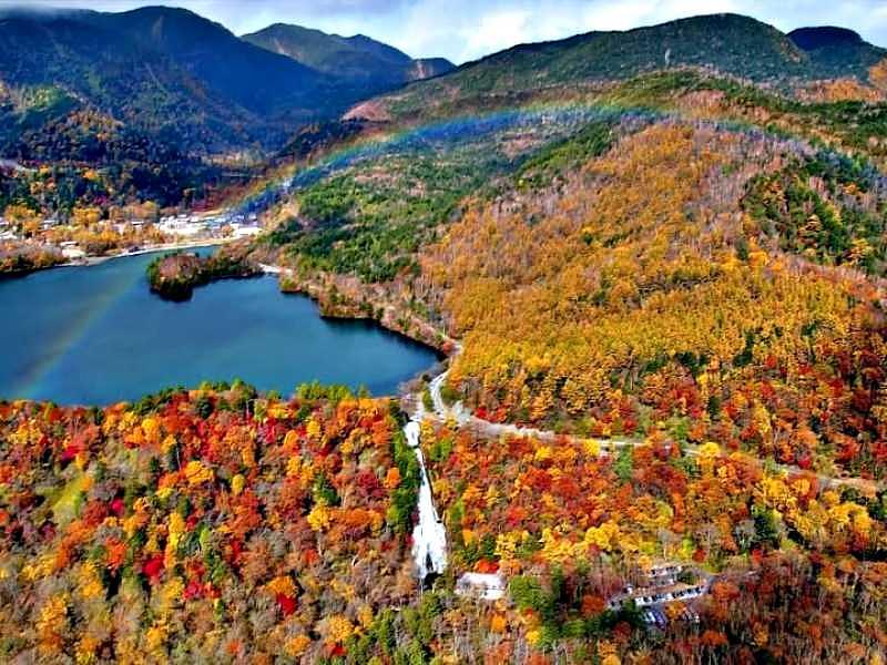 日光地區是關東最具代表性的紅葉旅遊地,從伊呂波坂、中禪寺湖到華嚴瀑布,秋季山林染上繽紛色彩,是台灣旅客最喜愛的賞楓目的地之一。