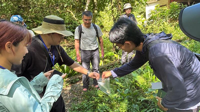 中國文化大學生命科學系與琉球大學生物系共同舉辦「2026年國際聯合課程-田野生物學」,以全英文授課及野外實驗為核心,探討影響昆蟲造訪大花咸豐草的因素。