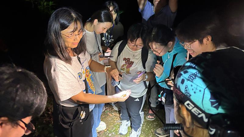除了專業課程,師生也共同參與阿里磅野溪生態探索及夜間生態觀察,認識當地溪流生物、昆蟲、蛙類與蛇類等物種,深化對自然生態的認識。