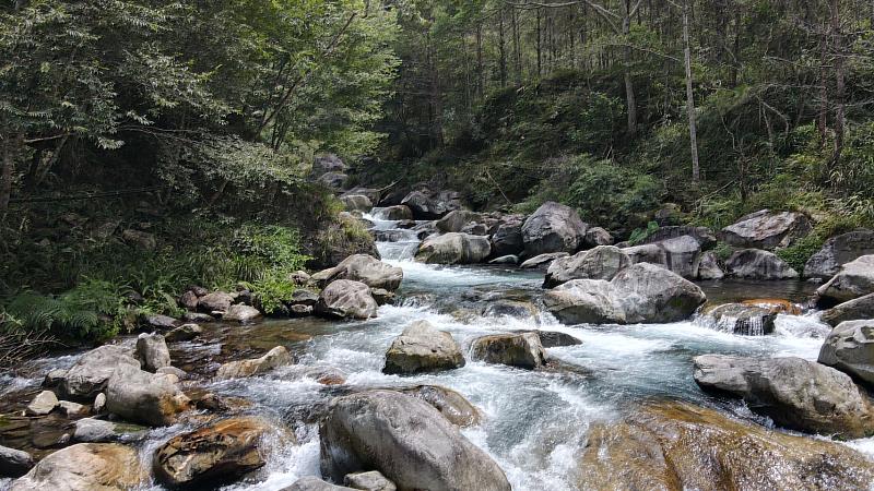 八仙山國家森林遊樂區－園區內十文溪清澈流淌的聲響是大地最純粹的心靈白噪音，提供絕佳的療癒環境。