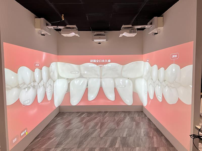 中臺科大3D牙齒模型智慧教學讓學生能零死角觀察牙體形態。