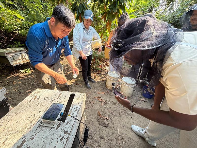 屏科大國際生走進嘉義智慧蜂場 驚見科技「蜂」管理