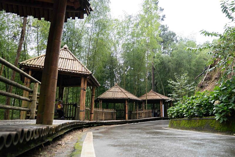 草嶺石壁森林療癒園區竹林秘境(五元兩角)