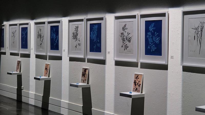 劉子平《臨海之地》10/9-11/8臺東美術館登場