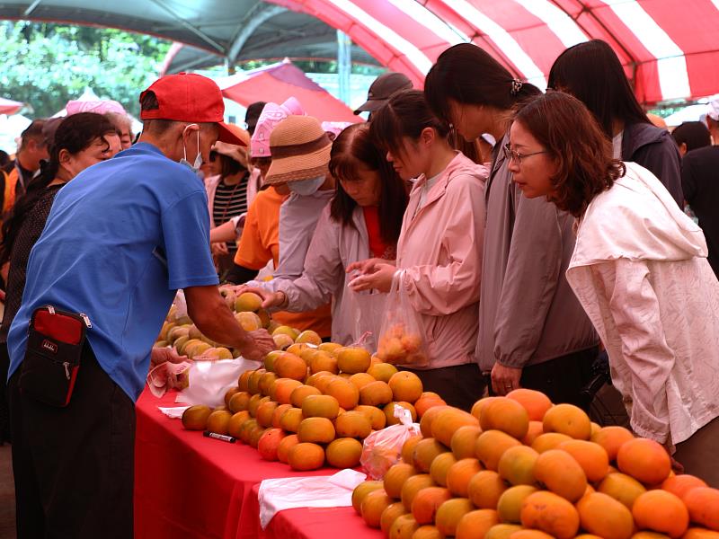 「柿子紅了、秋天到了！」番路柿子節登場 翁章梁邀民眾品嚐在地好滋味
