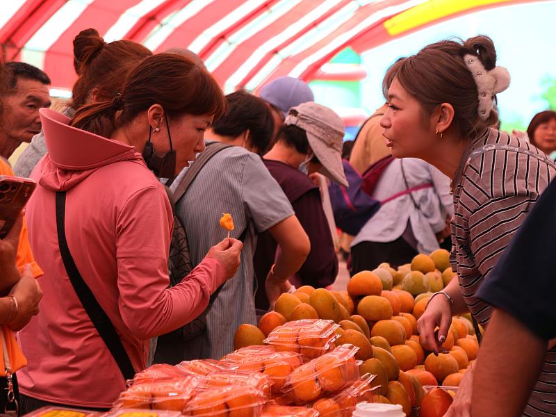 「柿子紅了、秋天到了！」番路柿子節登場 翁章梁邀民眾品嚐在地好滋味
