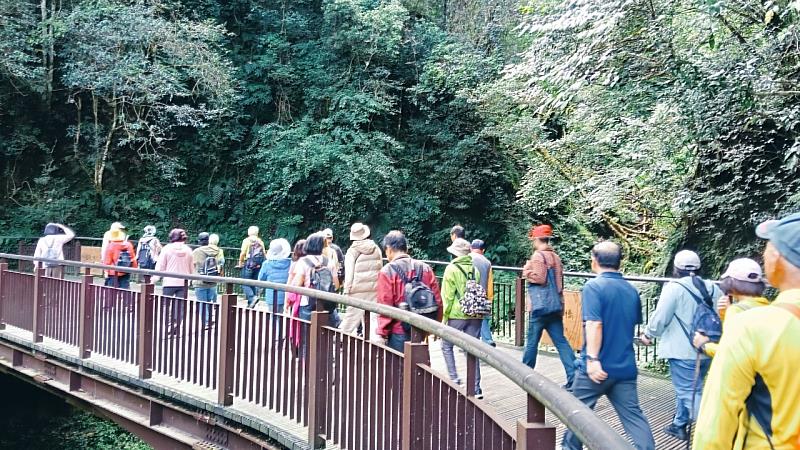 放假不宅家 揪團去冒險 探索北橫系列-拉拉山巨木原鄉之旅