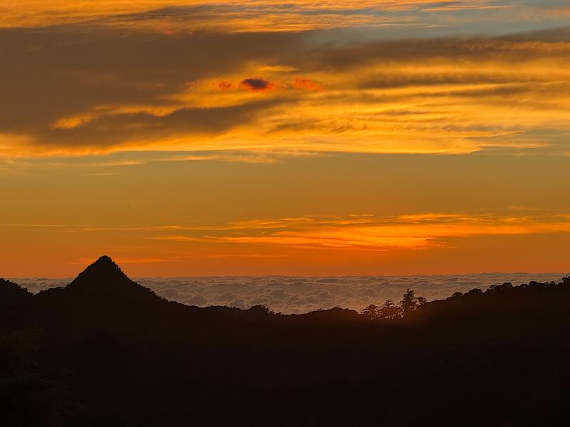 大雪山國家森林遊樂區夕陽。