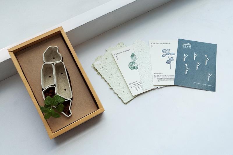 「Formosa Wildscript(台灣草書)」將臺灣原生植物種子融入再生紙漿製成「原生種子紙」,結合植物知識、紙材與種植體驗,讓使用者從閱讀進一步親手種下臺灣原生植物。