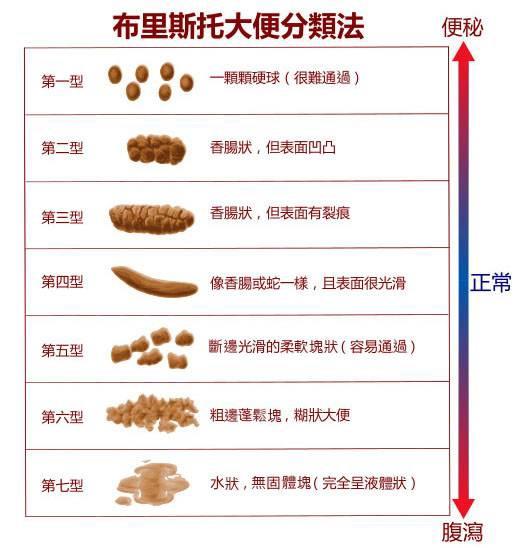 布里斯托大便分類法