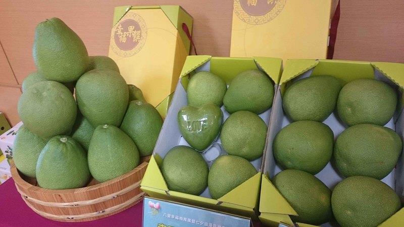 新北市八里區為北台灣文旦柚重要產區，有「南麻豆、北八里」的美譽，每年價格穩定，也推出各式禮盒與創意商品，供民眾購買。中央社實習記者周霈翎攝