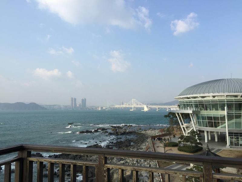 釜山旅遊包裝有一套 APEC會場成景點 