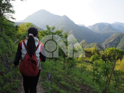 骨質隨年紀增長流失，嚴重會骨質疏鬆易骨折，女性又比男性更容易。醫師建議，年輕時就該應多曬太陽、運動，補充含鈣食物。

中央社資料照片。
