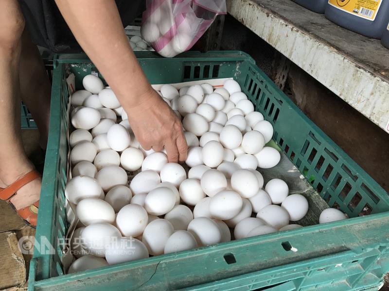 彰化鴻彰養雞場驗出雞蛋內含過量戴奧辛，農委會邀集相關單位召開專家會議，5日宣布確認此次戴奧辛蛋汙染物。 （中央社檔案照片）