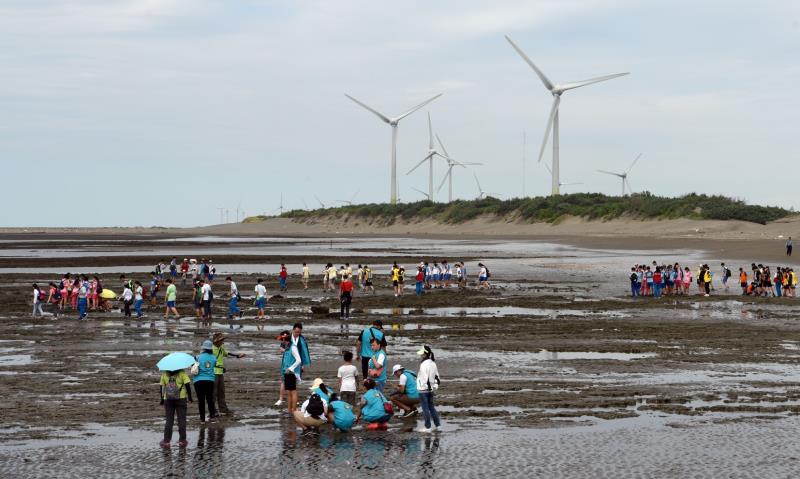 日月光聯手海岸生態協會　護礁淨灘強化環教新課題