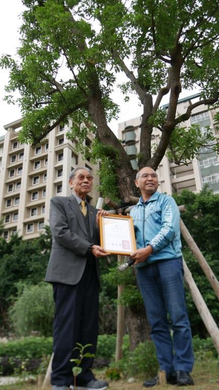 溫送珍致贈樟樹給台北市客家公園