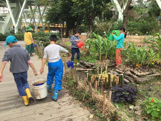 台北客家公園舉辦 小小農夫農藝教育 