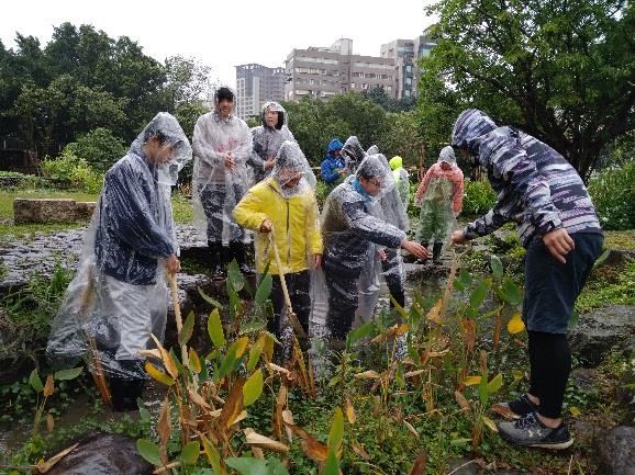 立春農民節  青少年志工 齊心清掃客家公園濕地