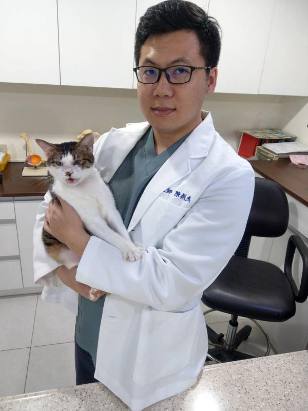 獸醫師陳振杰說，只要掌握要訣，毛小孩也能輕鬆過好夏。