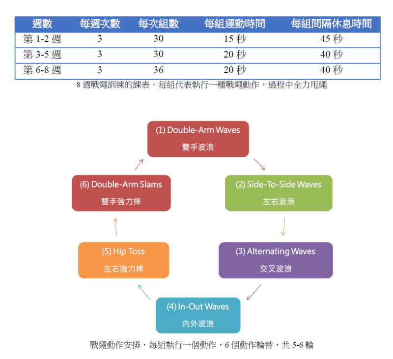 全身訓練的利器－戰繩