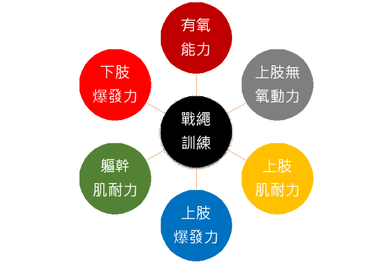 戰繩訓練具有多元效果