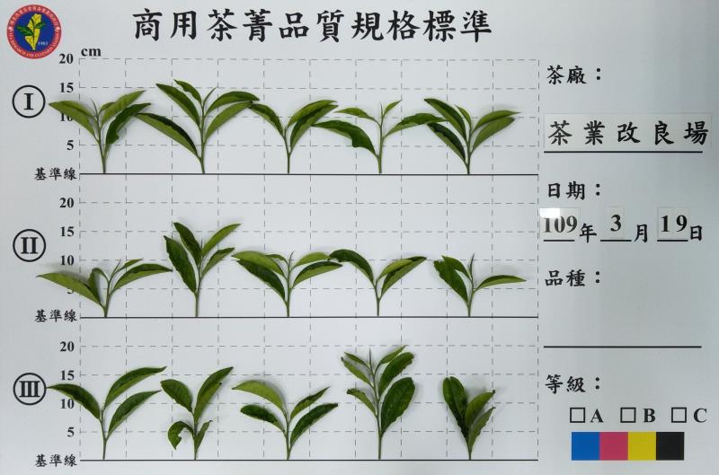 茶改場設計之商用茶菁品質規格標準化圖板