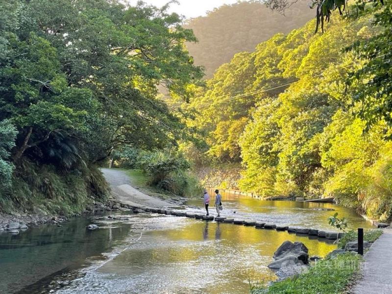 雙流國家森林遊樂區沿山步道是條隱身於樹冠層的小徑，遇溪水水位高時，即成親近瀑布的另一路線，也是紫斑蝶度冬的路線。（屏東林管處提供）中央社記者郭芷瑄傳真 109年12月17日