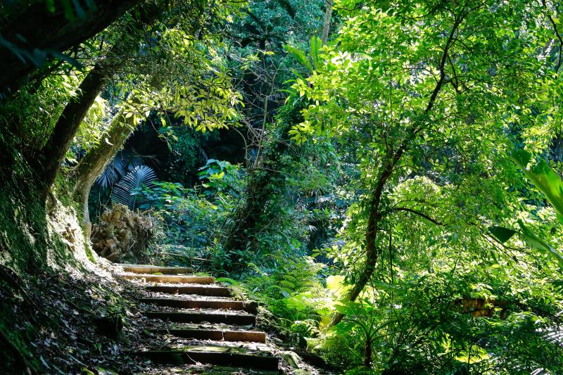 新北「淡蘭古道」獲2020台灣百大品牌。