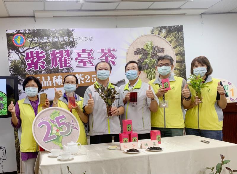 台灣第一次 ！茶改場新品育選臺茶25號 紫爆登場