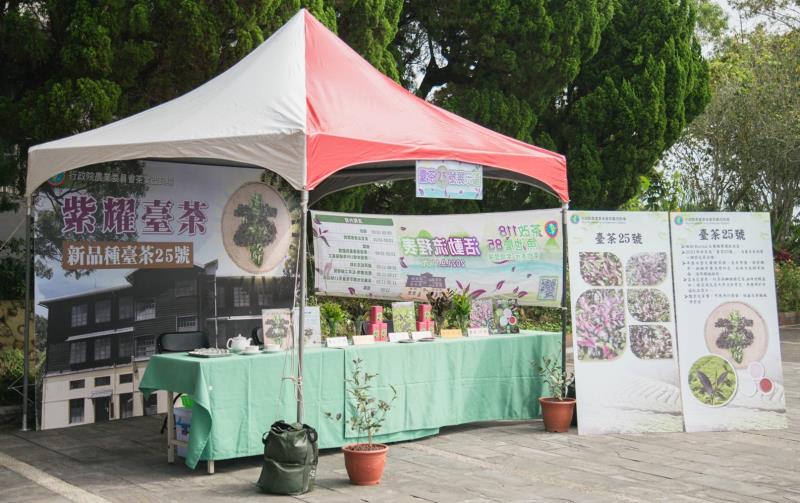 臺茶25號品種日前於發表會中，驚豔眾人目光。